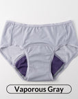 Rayon Period Underwear 2-Pack (Mid-Waisted, Daytime, Heavy Flow)